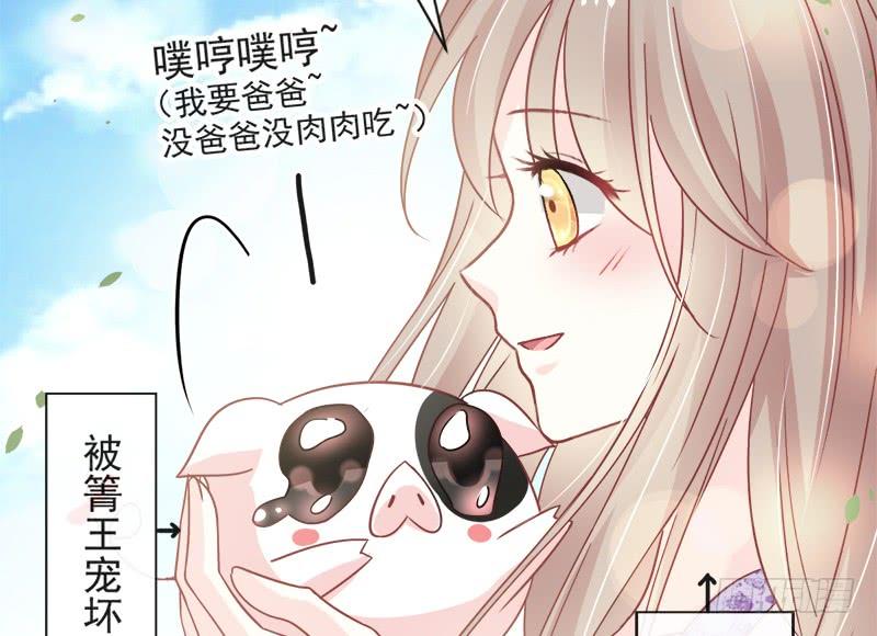 《天下第一宠》91 万众一心守护箐国 第24页