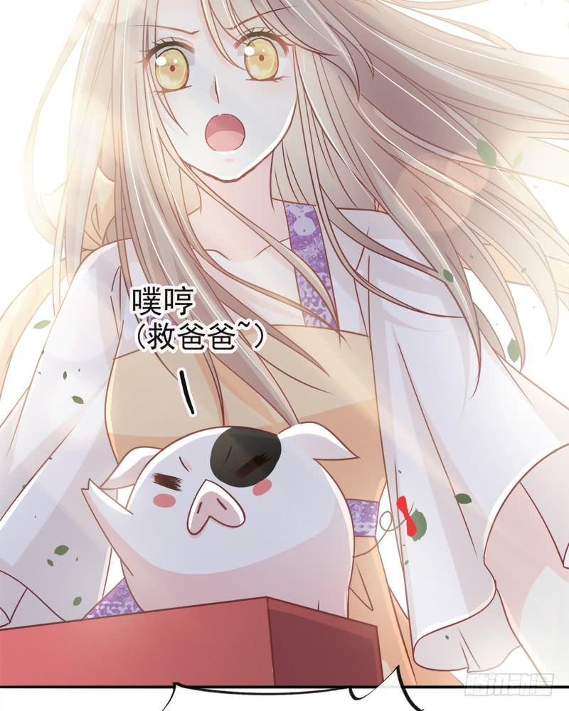 《天下第一宠》91 万众一心守护箐国 第21页
