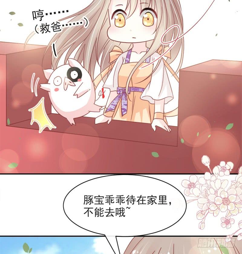 《天下第一宠》91 万众一心守护箐国 第23页