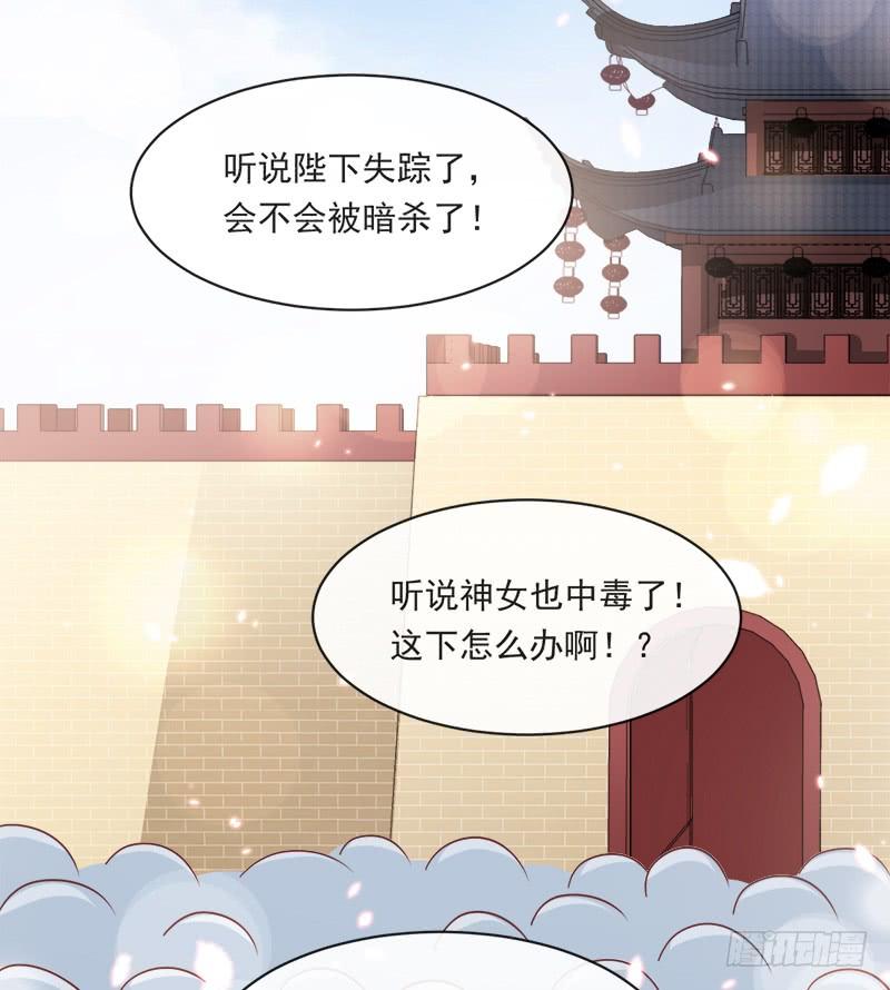 《天下第一宠》91 万众一心守护箐国 第12页