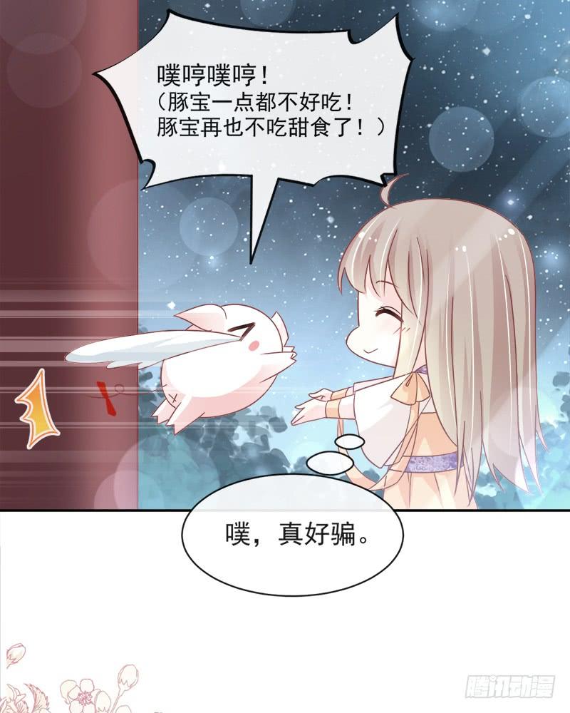 《天下第一宠》93 不眠之夜 第23页