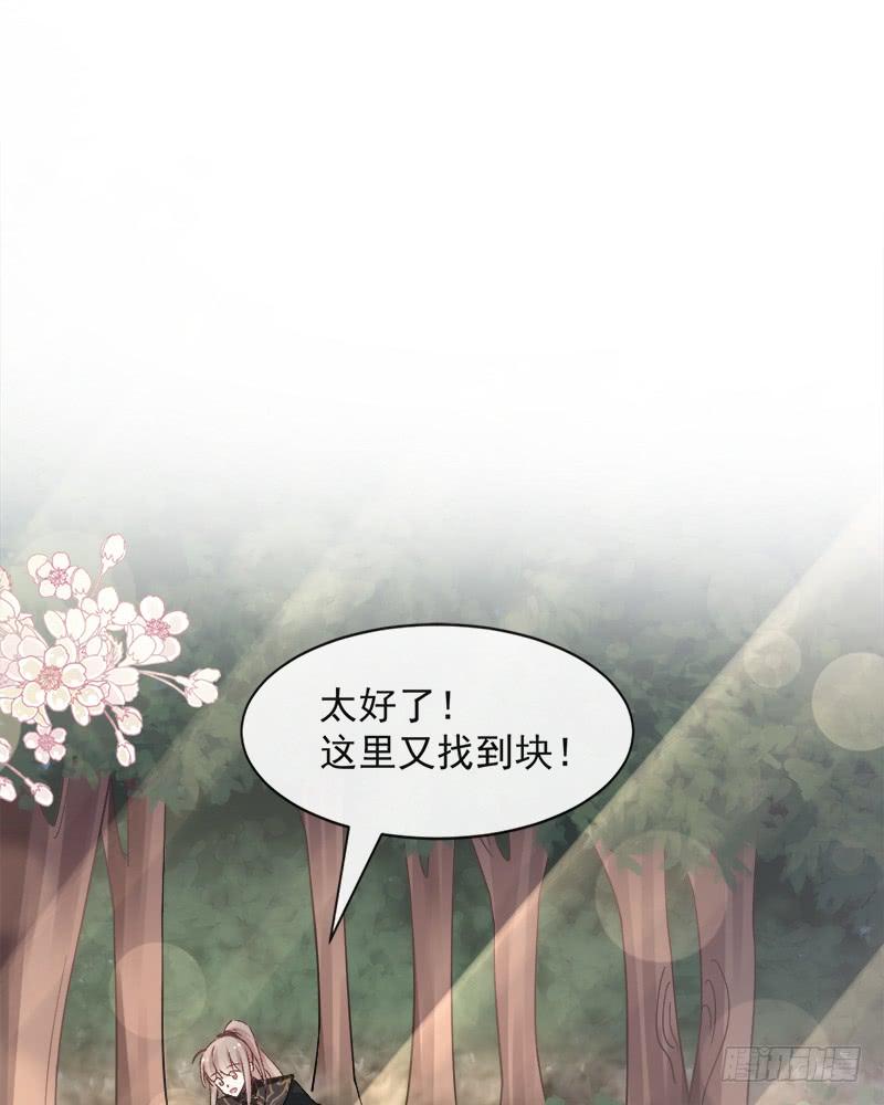 《天下第一宠》94 时机已成熟 第31页