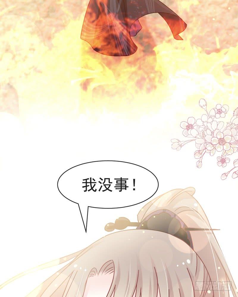《天下第一宠》95 展现神迹 第37页