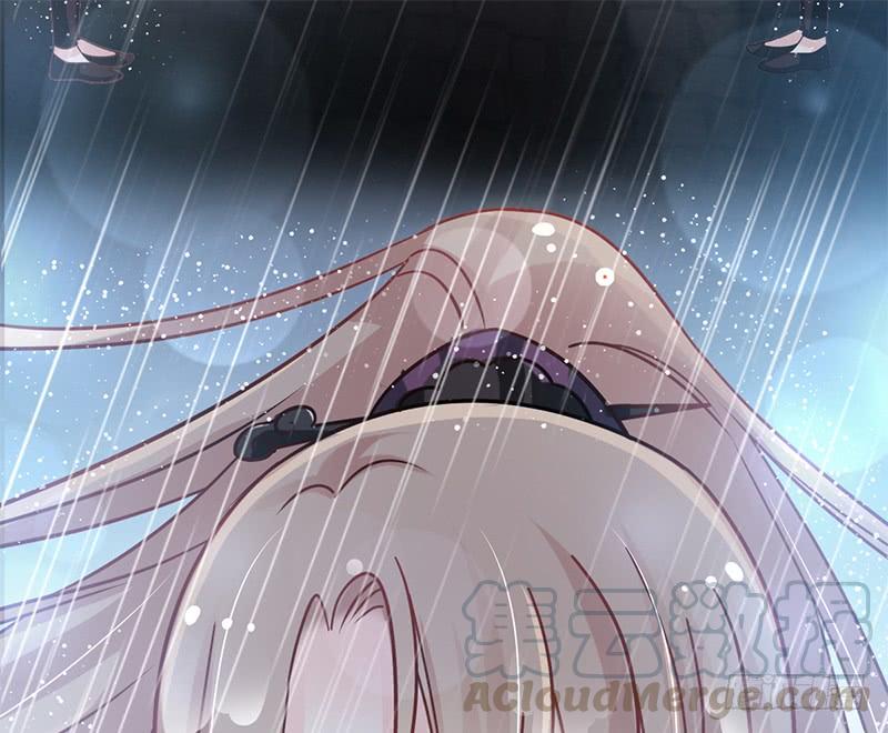 《天下第一宠》98 我终于找到你了！ 第1页