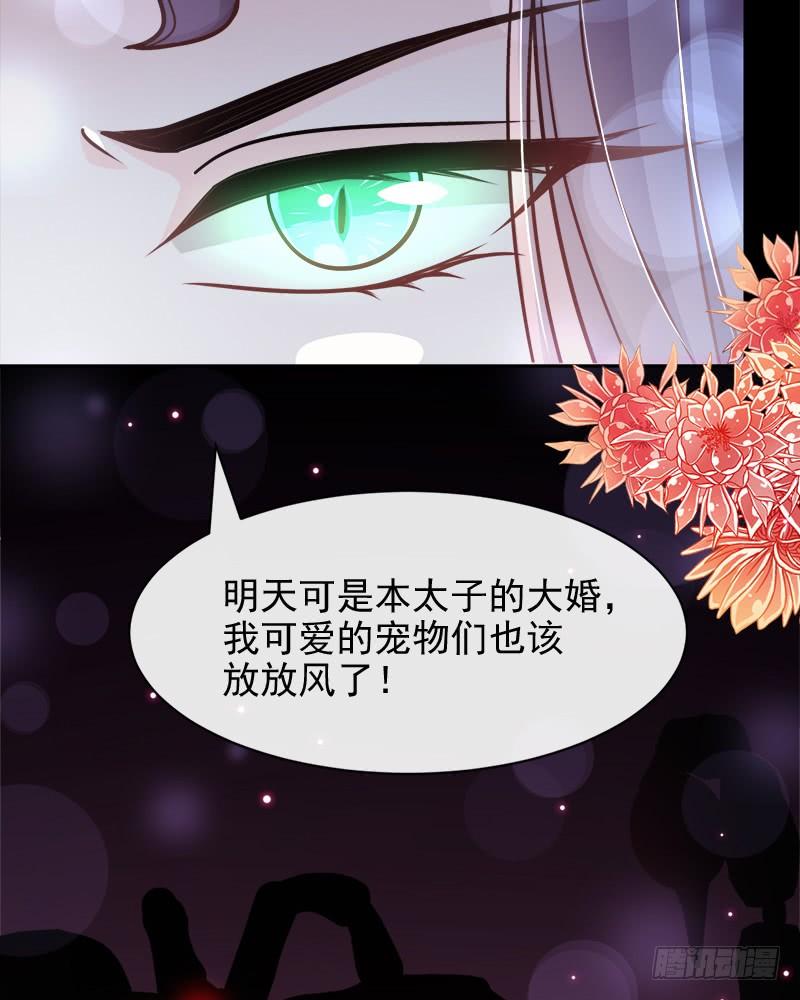 《天下第一宠》99 今夜不放过你 第11页