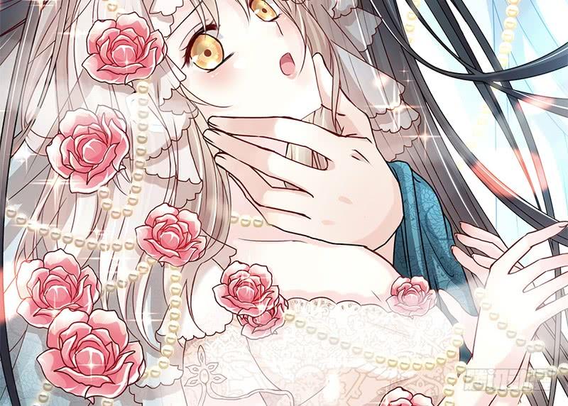 《天下第一宠》102 血色婚礼 第2页
