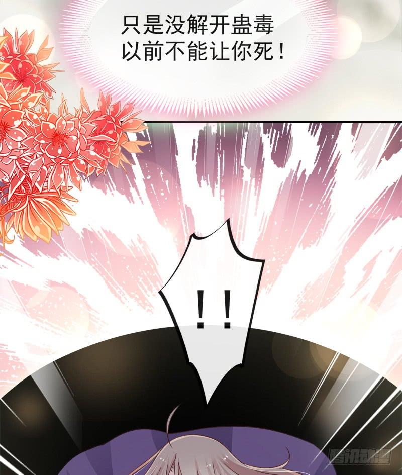 《天下第一宠》105 生死别离 第40页