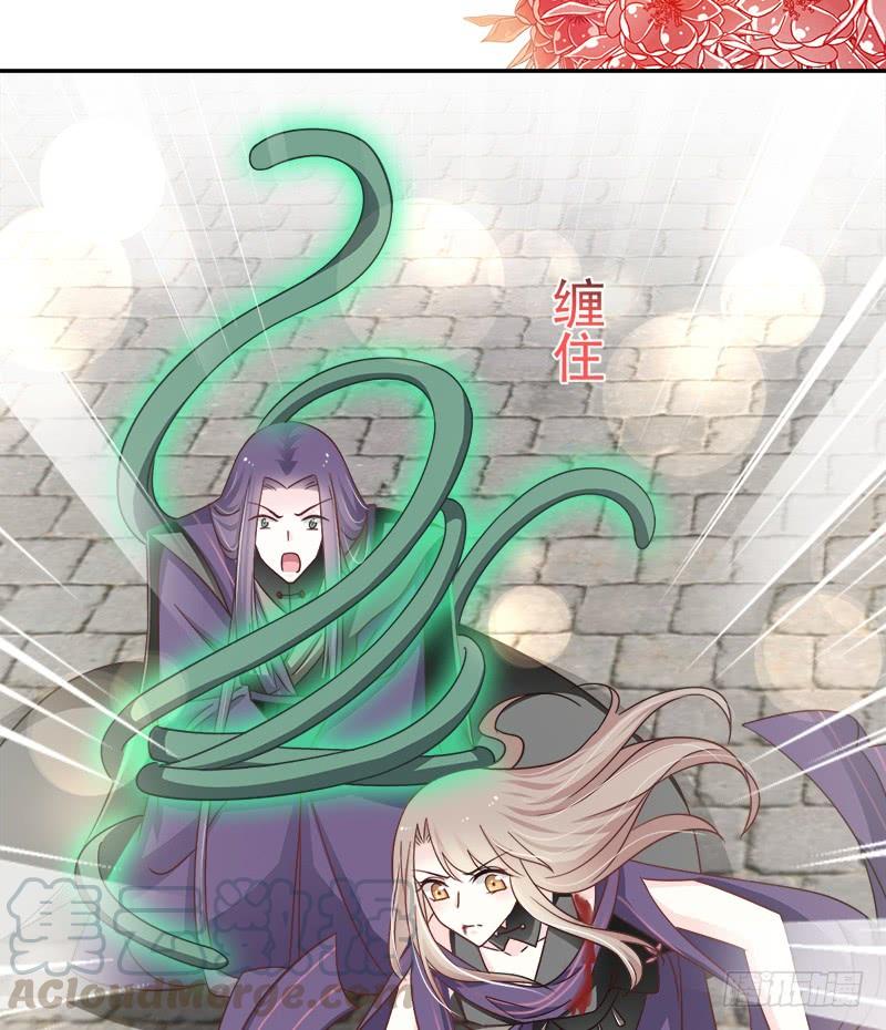 《天下第一宠》105 生死别离 第15页