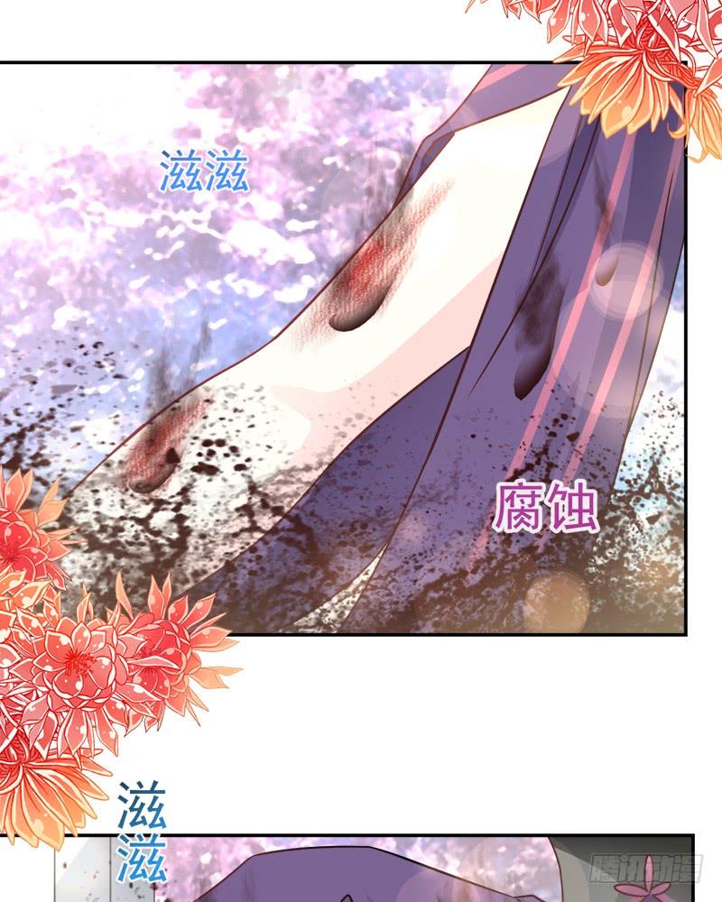 《天下第一宠》105 生死别离 第24页