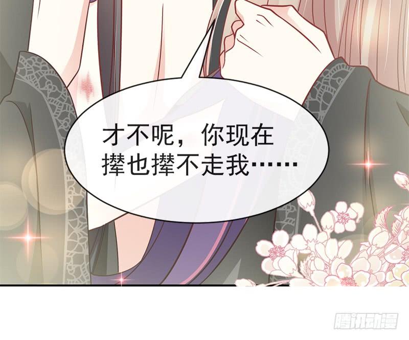 《天下第一宠》106 暴君的眼泪 第20页