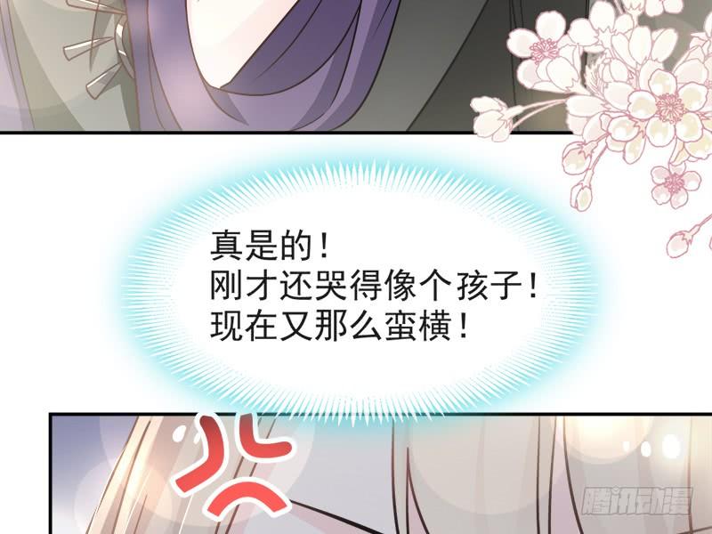 《天下第一宠》106 暴君的眼泪 第40页