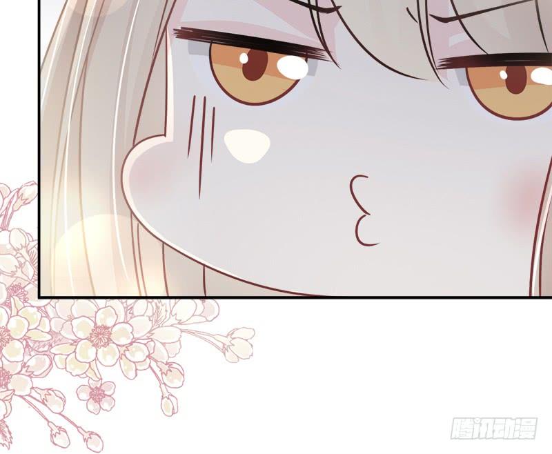 《天下第一宠》106 暴君的眼泪 第41页