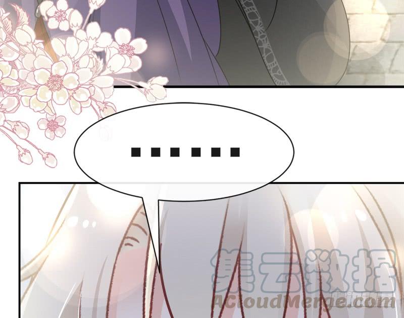 《天下第一宠》106 暴君的眼泪 第29页