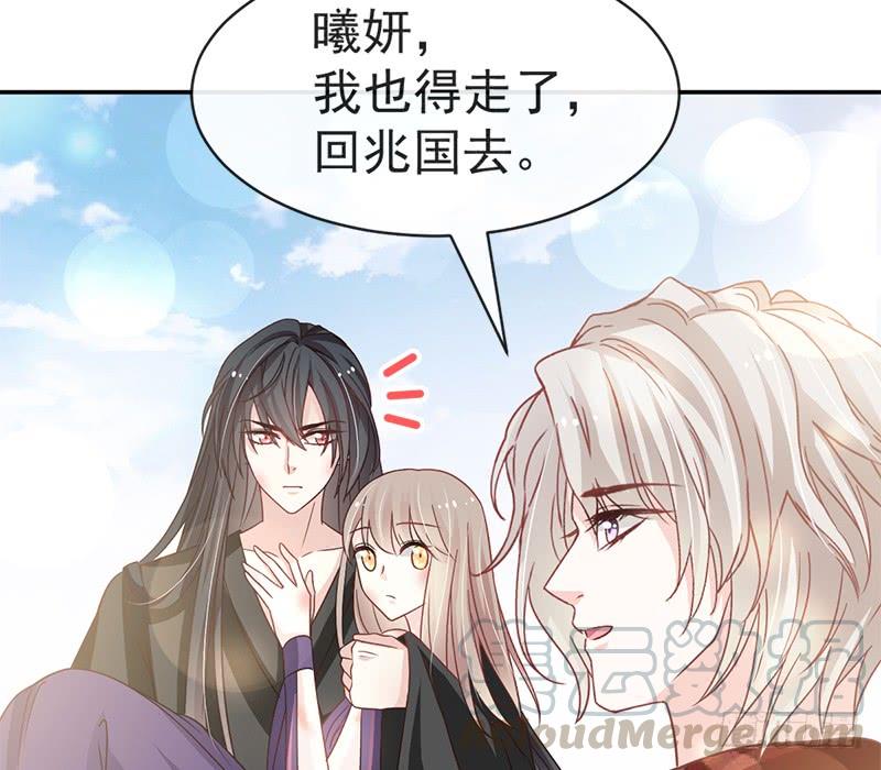 《天下第一宠》106 暴君的眼泪 第50页