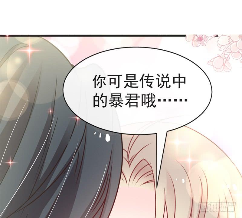 《天下第一宠》106 暴君的眼泪 第14页