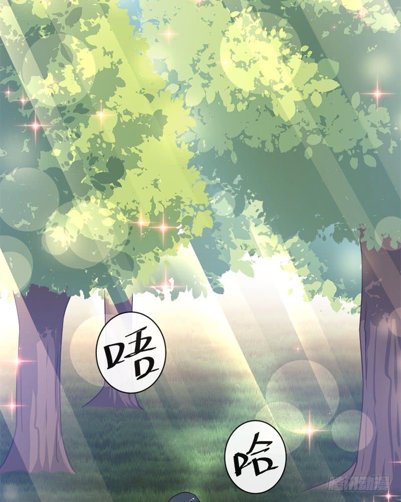 《天下第一宠》108 炙热的思念 第28页