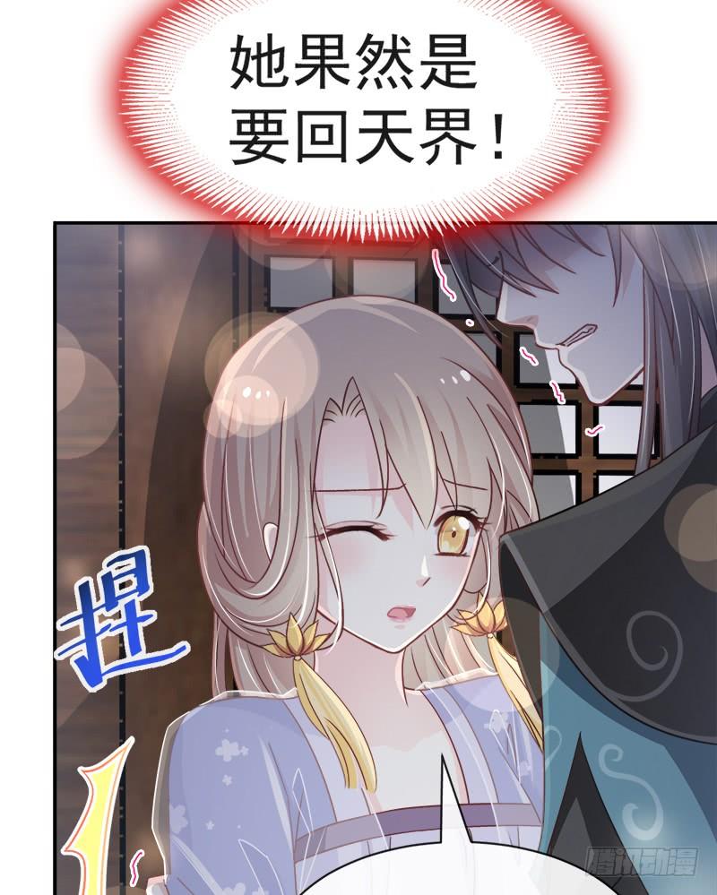 《天下第一宠》112 只有你能温暖我 第13页