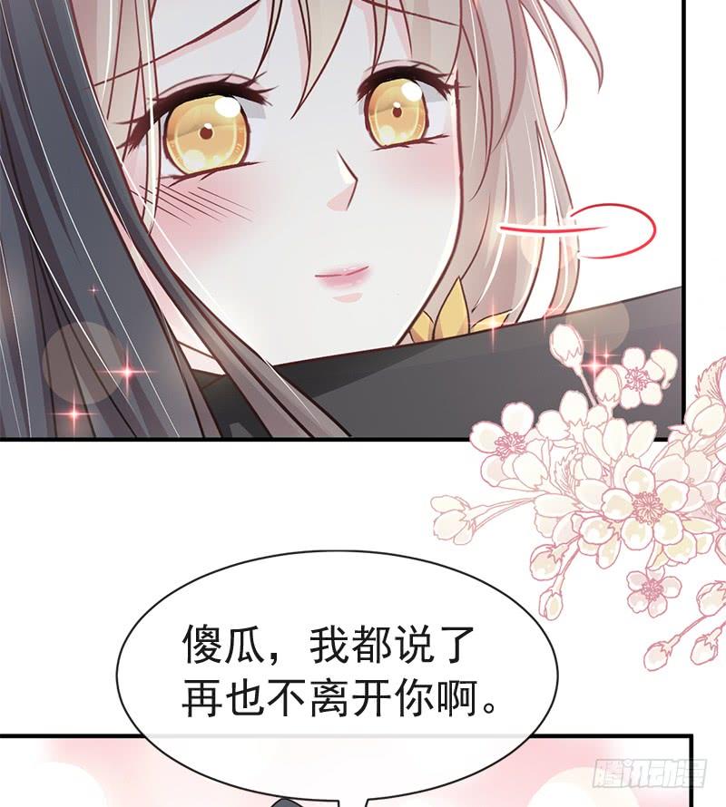 《天下第一宠》113 因为我爱你 第13页