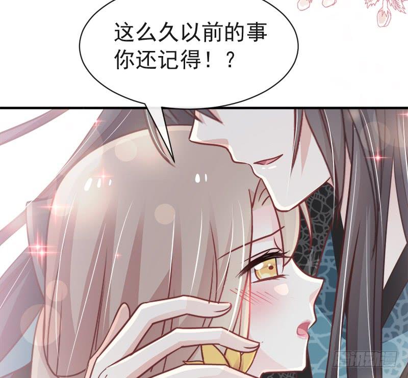 《天下第一宠》113 因为我爱你 第24页