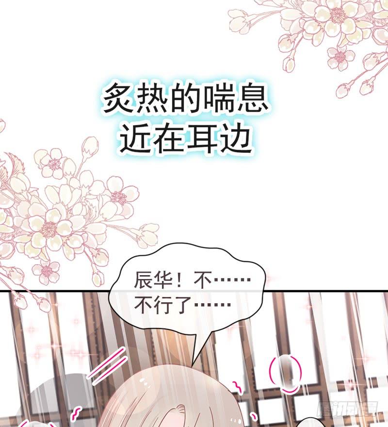 《天下第一宠》116 婚礼前夜 第31页