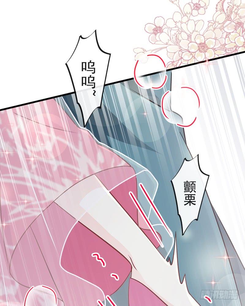 《天下第一宠》116 婚礼前夜 第37页