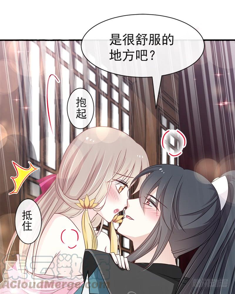 《天下第一宠》116 婚礼前夜 第15页