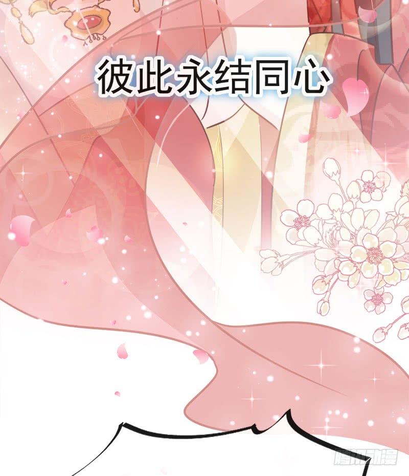《天下第一宠》116 婚礼前夜 第51页