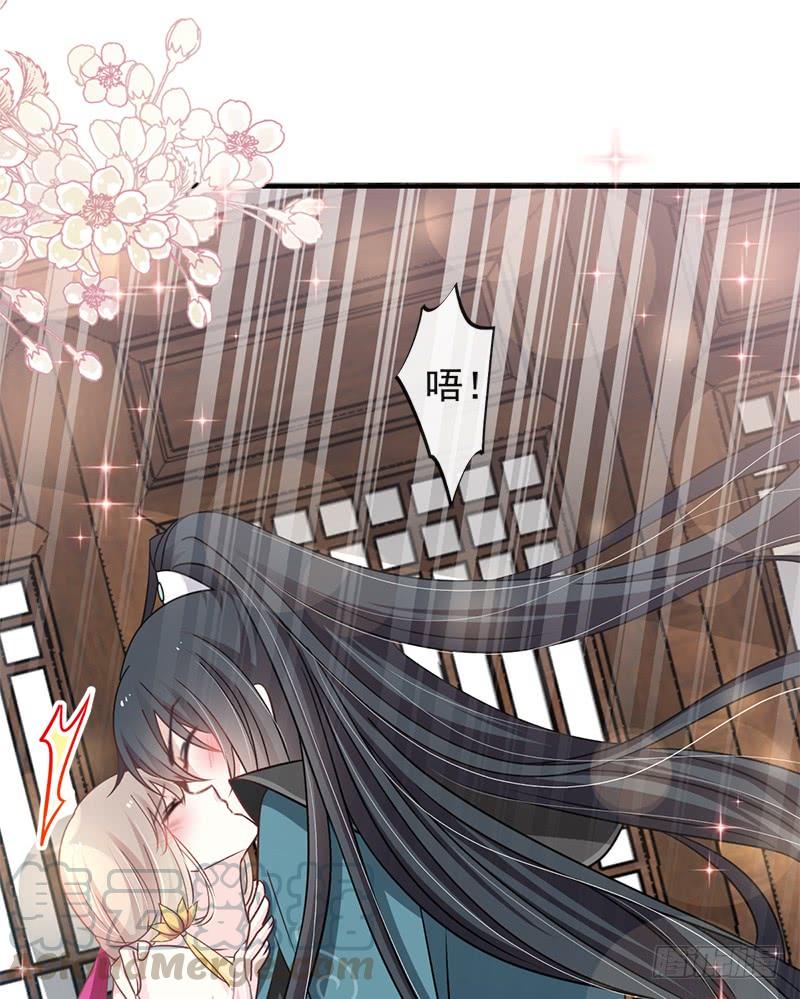 《天下第一宠》116 婚礼前夜 第29页