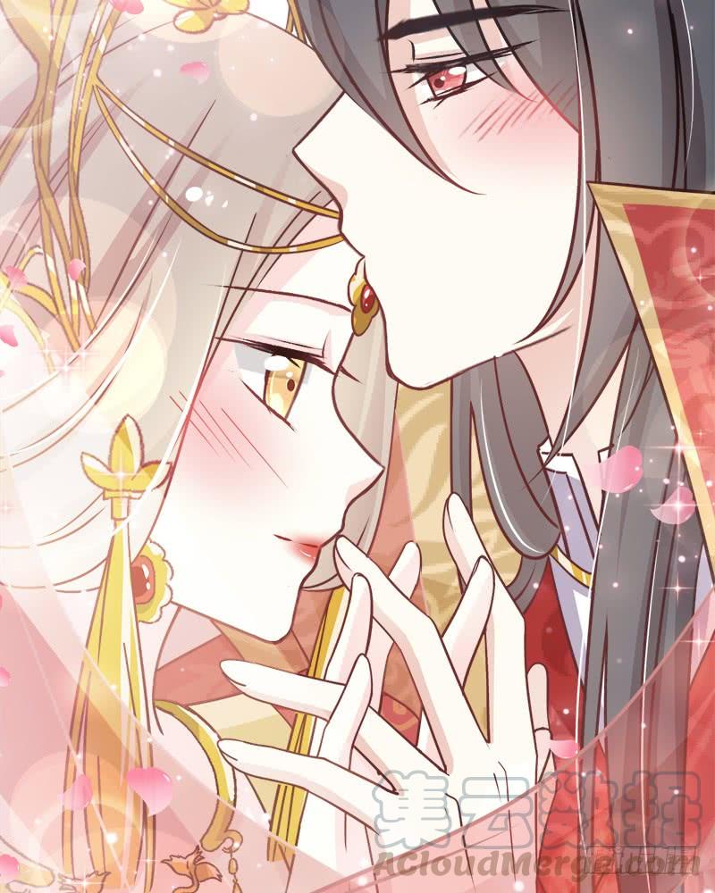 《天下第一宠》116 婚礼前夜 第50页