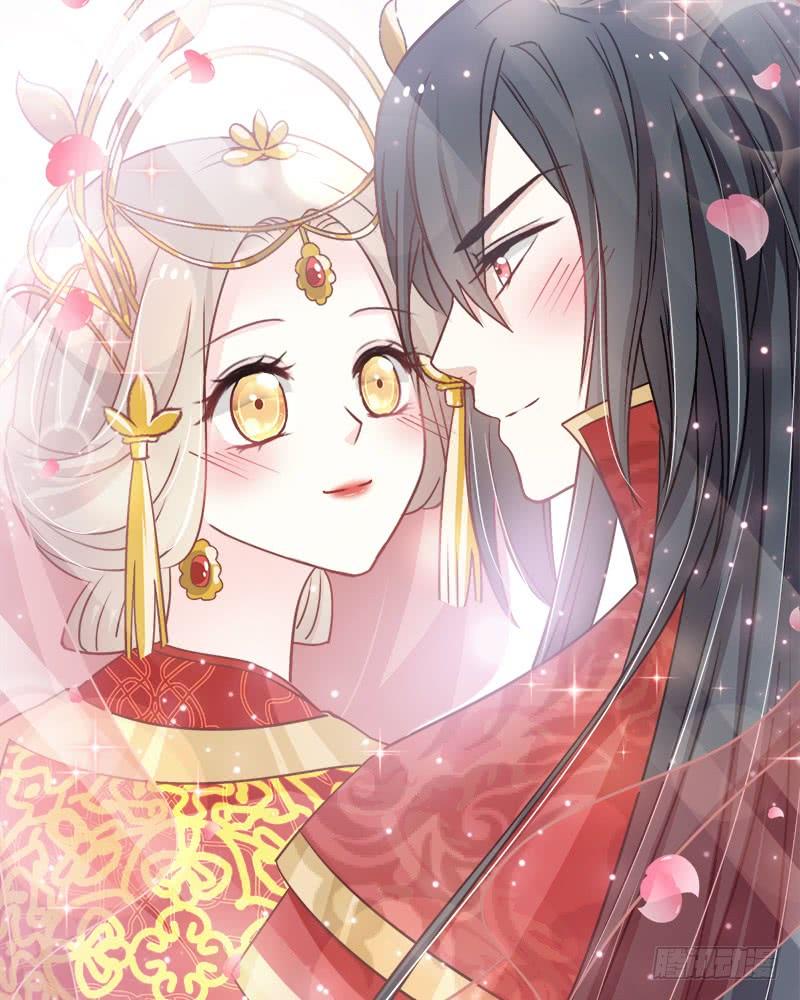 《天下第一宠》116 婚礼前夜 第45页