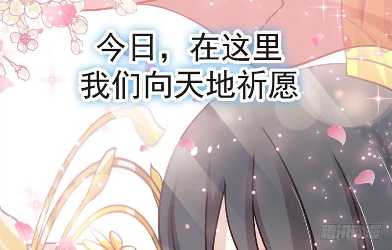 《天下第一宠》116 婚礼前夜 第49页