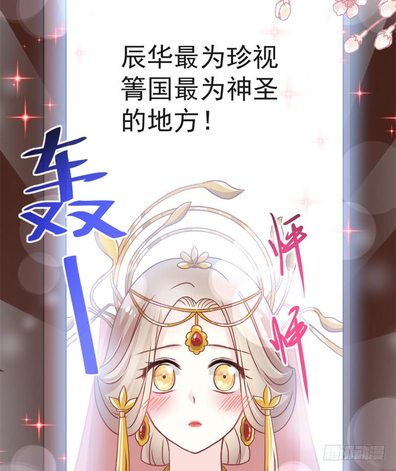 《天下第一宠》117 婚礼大典 第47页