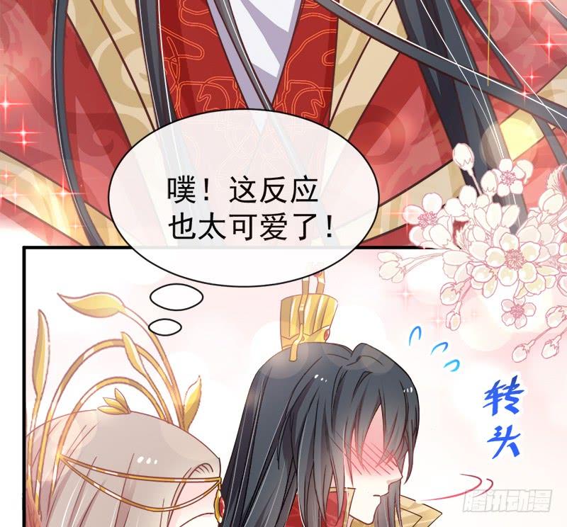 《天下第一宠》117 婚礼大典 第25页