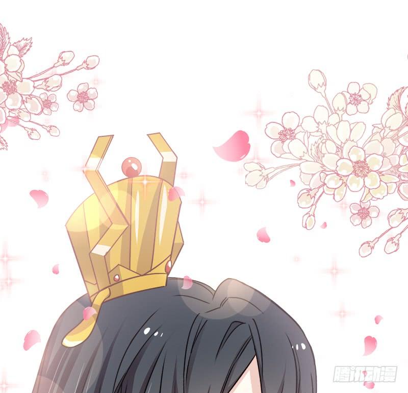 《天下第一宠》117 婚礼大典 第27页