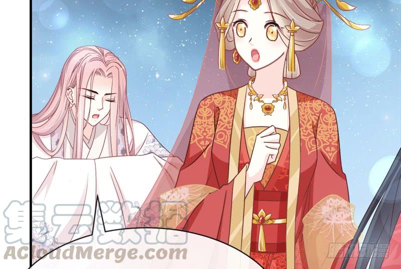 《天下第一宠》117 婚礼大典 第43页