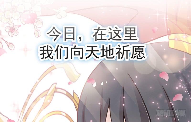 《天下第一宠》117 婚礼大典 第4页