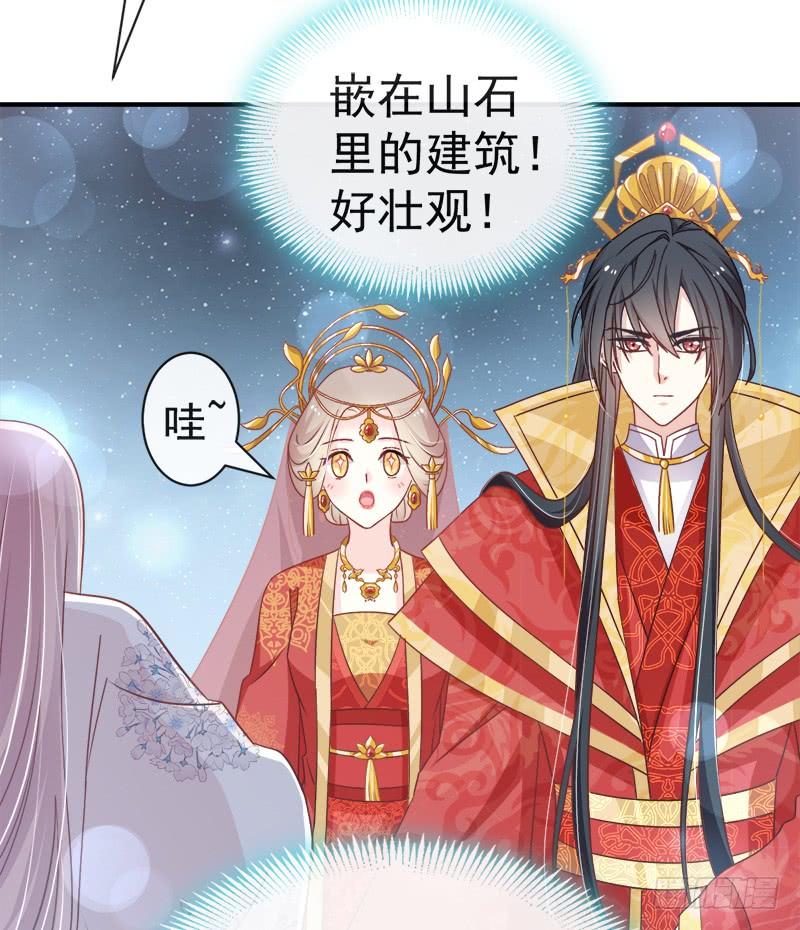 《天下第一宠》117 婚礼大典 第41页