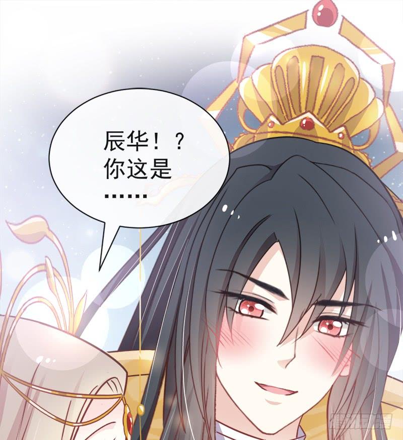 《天下第一宠》117 婚礼大典 第45页
