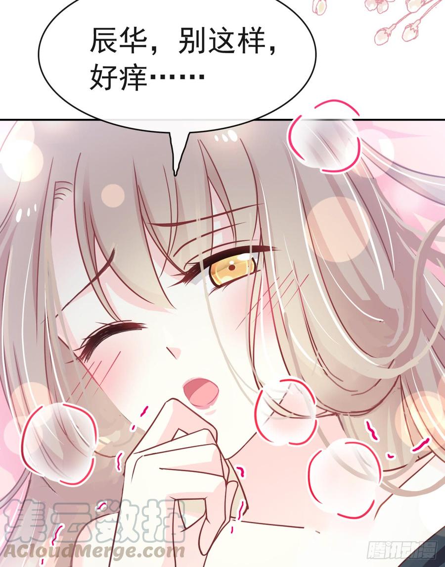 《天下第一宠》119 洞房花烛夜 第43页