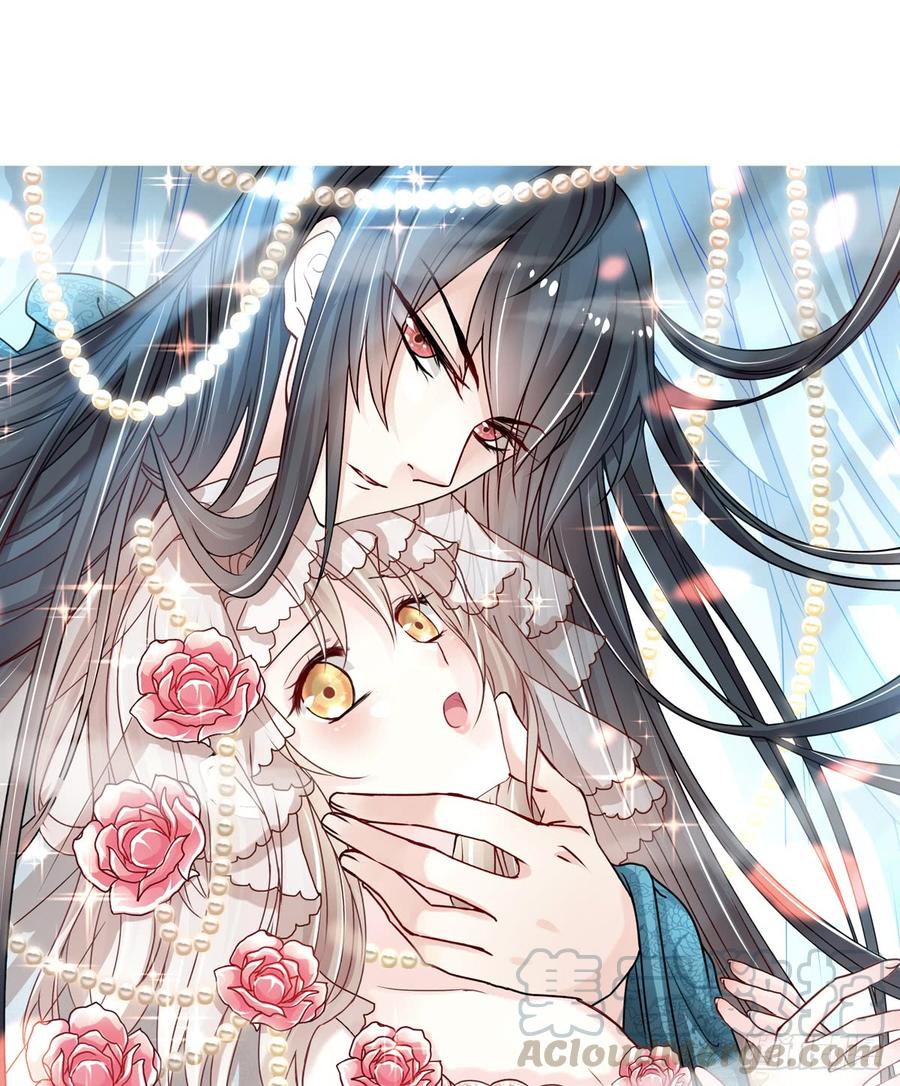 《天下第一宠》119 洞房花烛夜 第1页