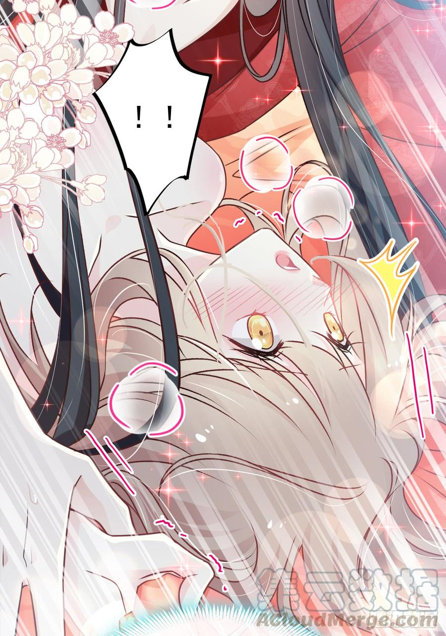 《天下第一宠》120 被焚烧殆尽 第22页