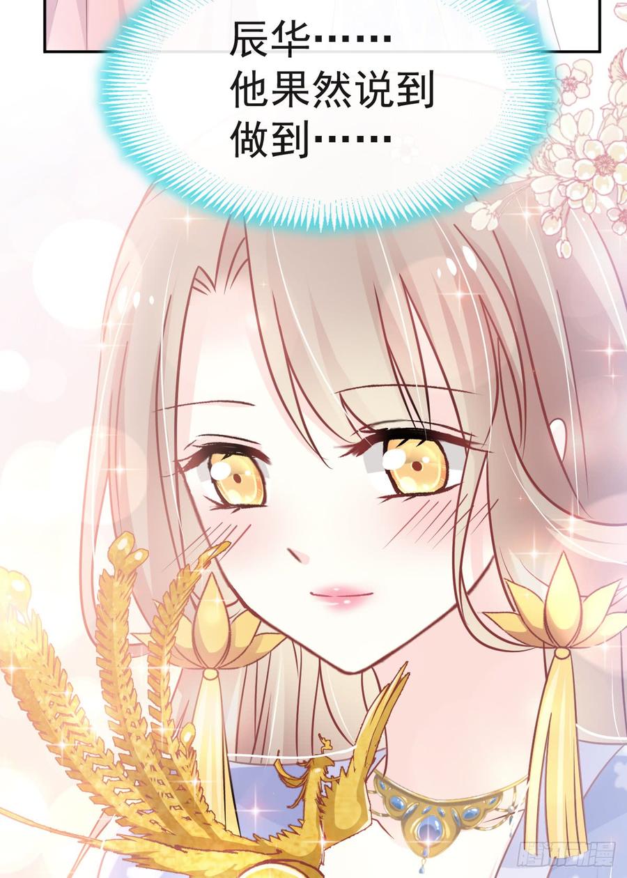 《天下第一宠》124 以箐王后之名 第30页