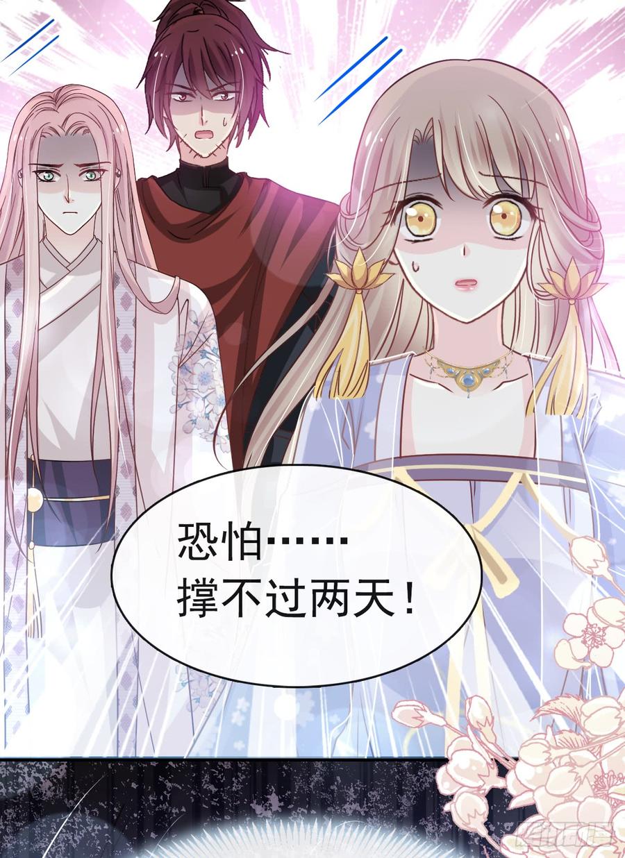 《天下第一宠》133 守护我们的家 第24页