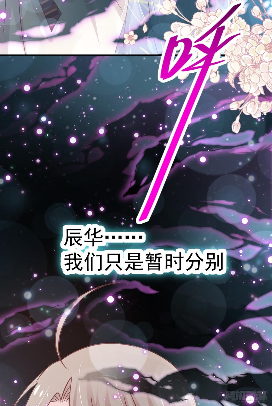 《天下第一宠》135 生生世世是吾妻 第19页