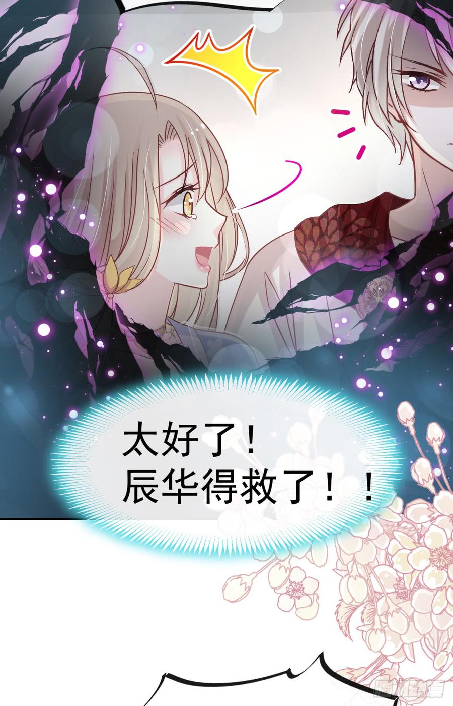 《天下第一宠》135 生生世世是吾妻 第28页