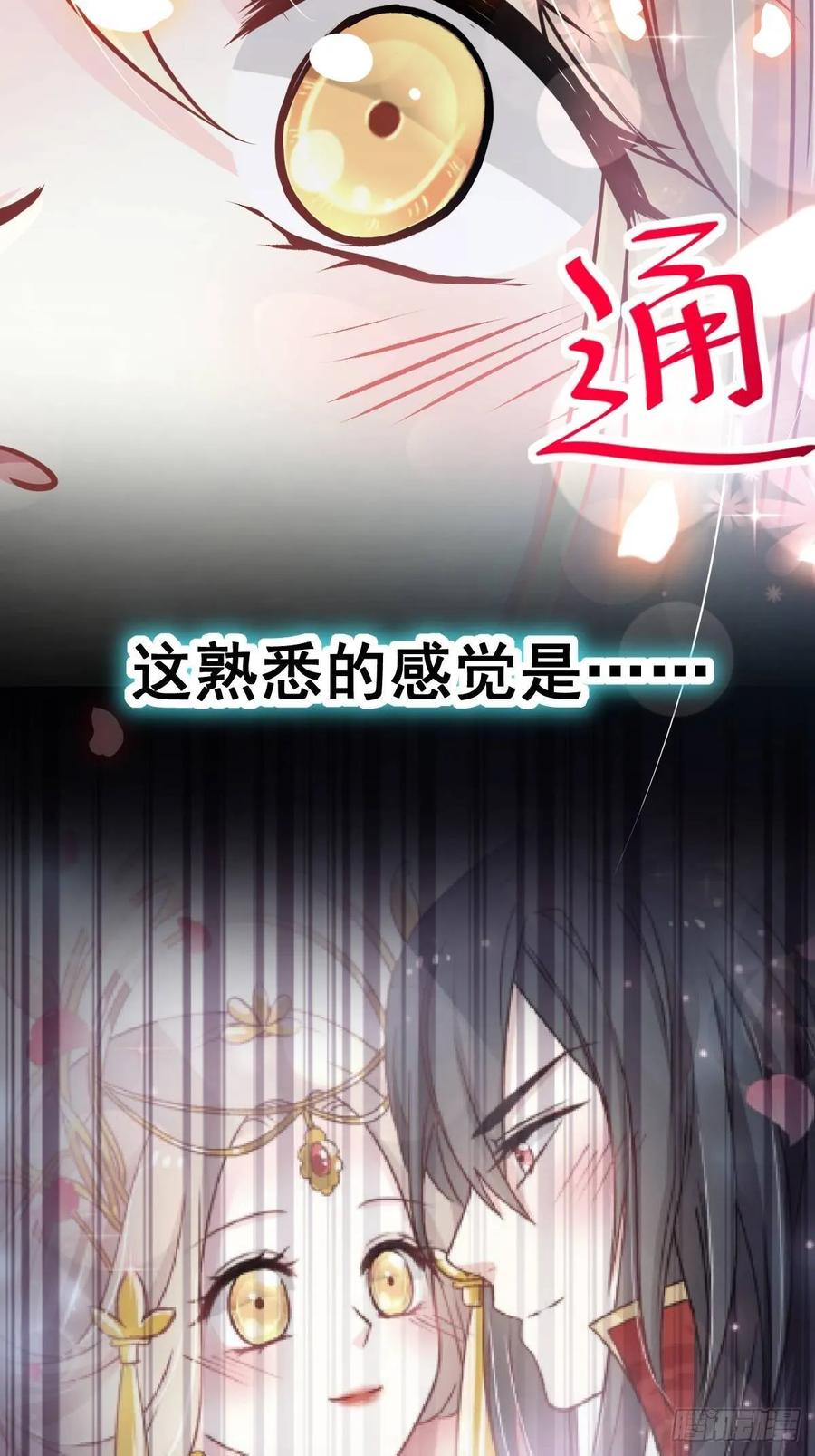 《天下第一宠》144 再嫁给我一次 第12页