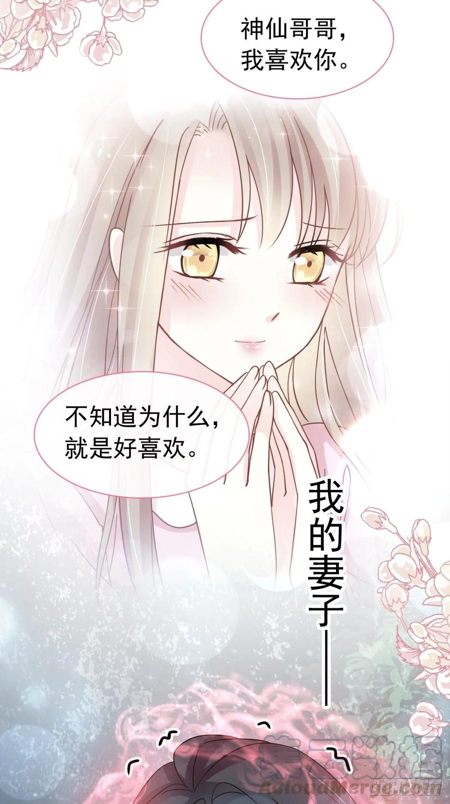 《天下第一宠》153 前世今生 第5页