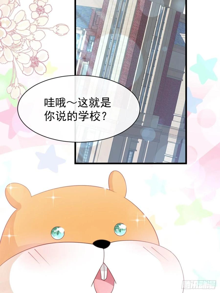 《天下第一宠》153 前世今生 第12页