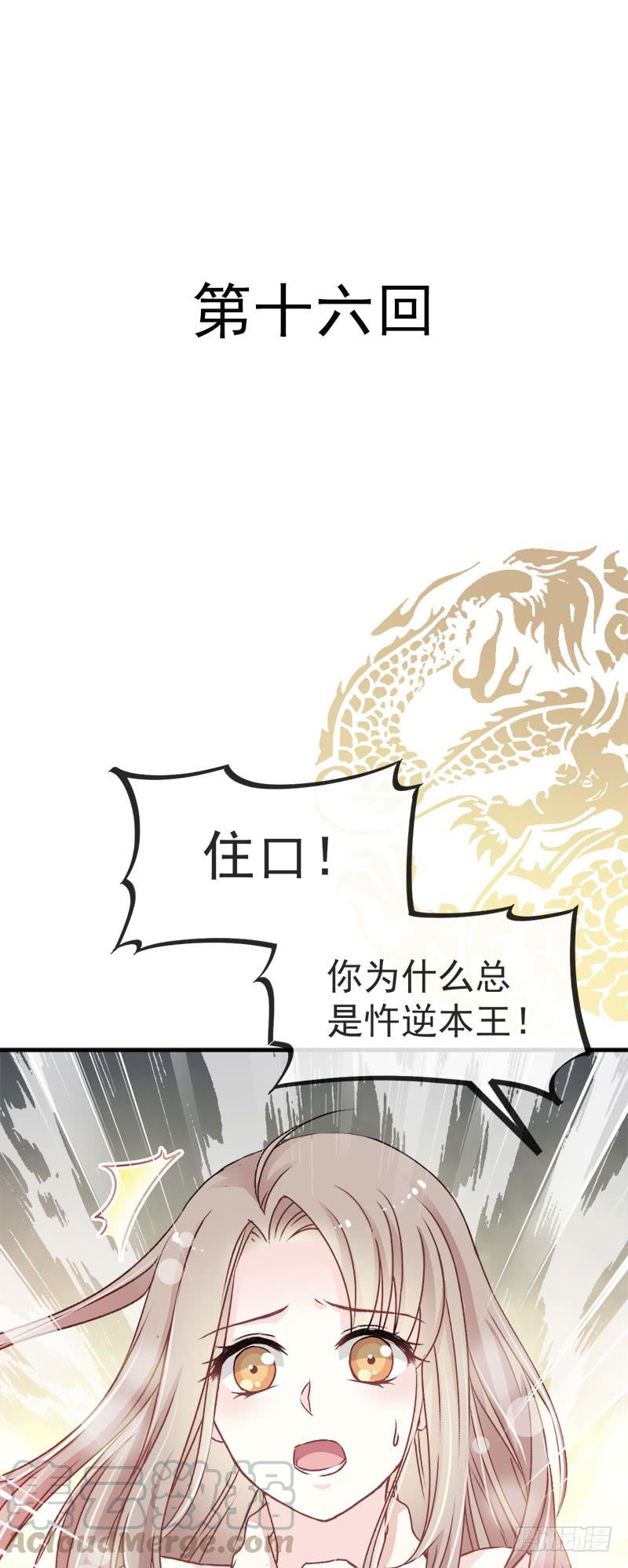 《天下第一宠》16 想家 第1页