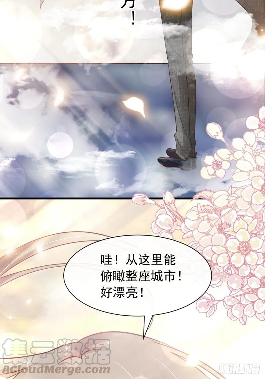 《天下第一宠》159 魔都之巅的求婚 第25页